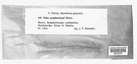Image Associated With the Occurence
